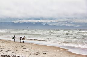 Surfer Beach people