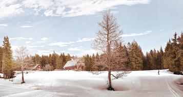 hut in winter alpine forest, Austria