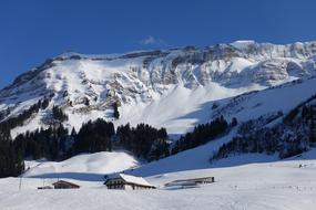 Ski Area Brienzer