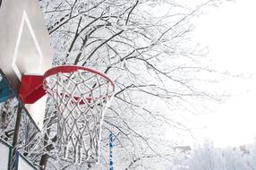 basketball hoop in the snow