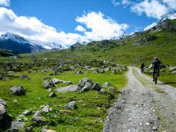 landscape of Mountain Bikers