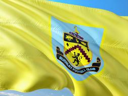 Football International yellow flag drawing
