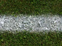 white line on green grass