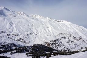 Snow white Mountain forest