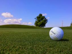 Titleist Golf Ball white