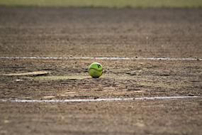 Softball Sports