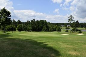 Golf Grass Course green