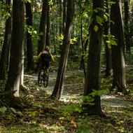 landscape of Sport Bike Enduro in forest