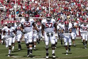 male American Football team on field