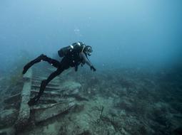 diver exploring the ocean