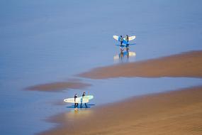 Ocean Surfing