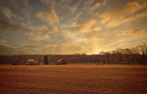 Sunrise Scenic Trees