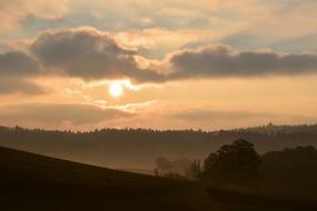 fog over the forest in the morning