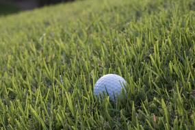 Golf ball on Green Field