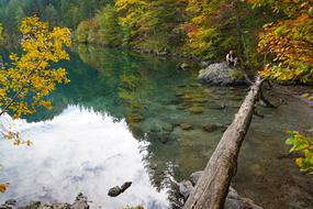 mountain lake and autumn trees in ellmau, Austria