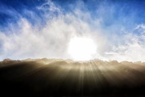 morning sun over the field