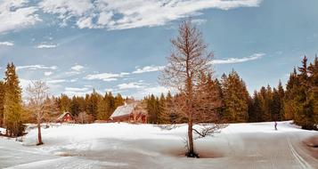 snow Landscape Scenic