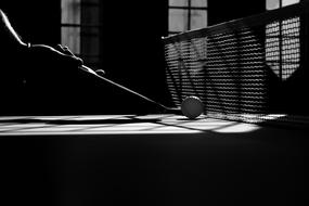 tennis table