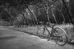 Road Transportation bike