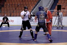 pankration competitions in Bobruisk in 2018