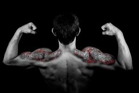 man sport fitness muscle