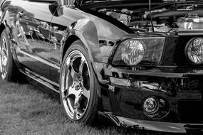 Muscle Car on the grass in black and white background close-up