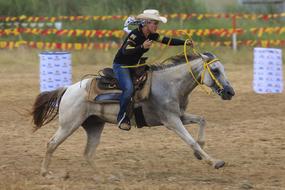 horse rider in hat