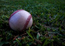 Baseball Ball Sport grass