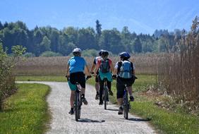 cyclists ride on the road