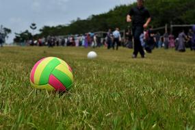 colorful volleyball ball on the lawn