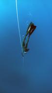Freediving Deep