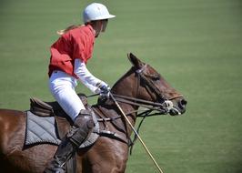 Person, playing polo with the brown horse, on the green grass