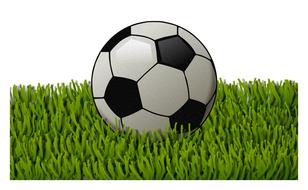 soccer ball on green lawn as illustration