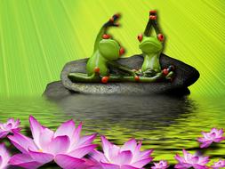 funny frog athletes on the water as a colorful illustration