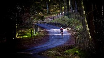 Cyclist Landscape Hill