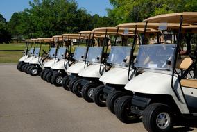 golf carts in a row on a sunny day