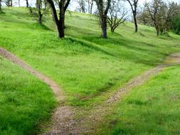 green Hiking Trail