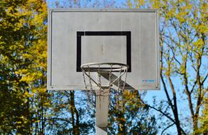 basketball hoop outside near the trees