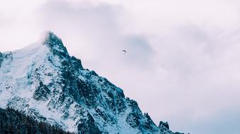 Mountain Paragliding