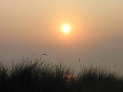 photo of morning fog over the sea