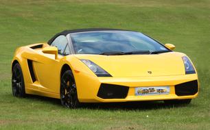 sporty yellow ferrari on green lawn