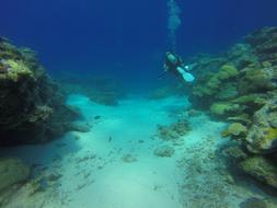 diver in Ulong Channel, Palau
