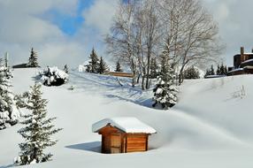 ravishing Snow Alps