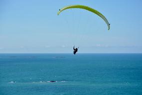 free paragliding over the blue sea