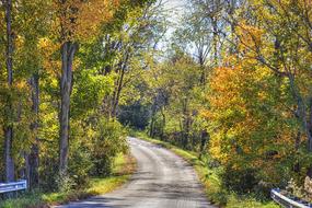 Scenery Road