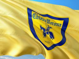 yellow flag of the football league in italy