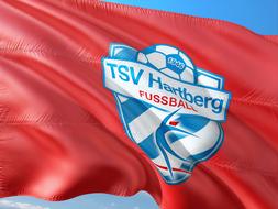 Football International flag Austria