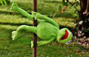 pole dance of Kermit