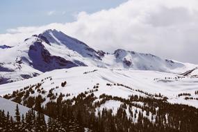 landscape of Snowy Mountain at Winter