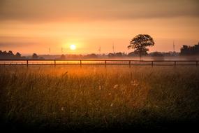 Sunrise light over field